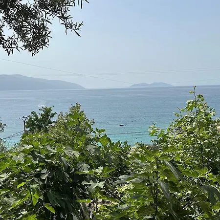 Firauni * Vlorë