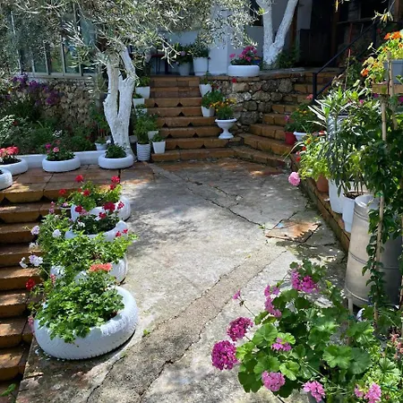 Firauni * Vlorë