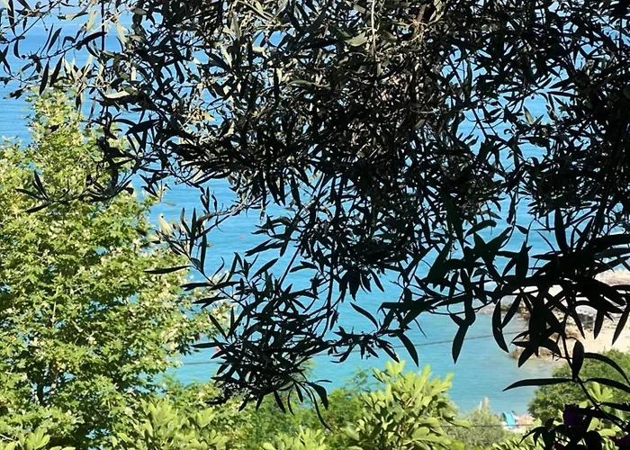 Hébergement de vacances Firauni *