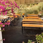 Firauni * Vlorë
